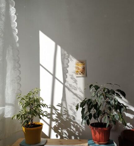 Tips for Creating a Cozy and Functional Home Workspace