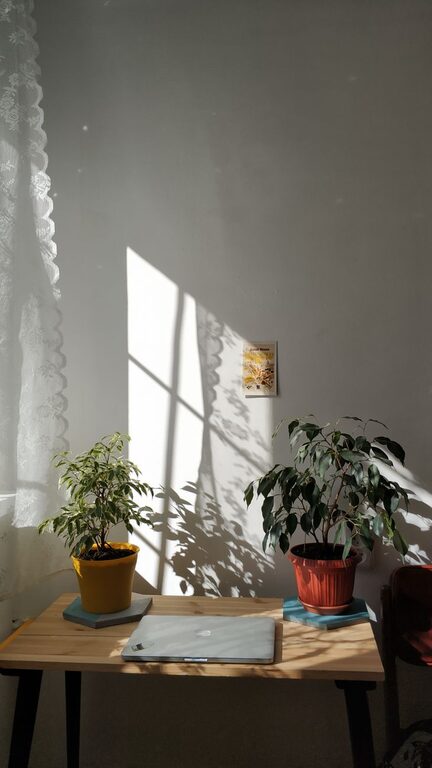Tips for Creating a Cozy and Functional Home Workspace